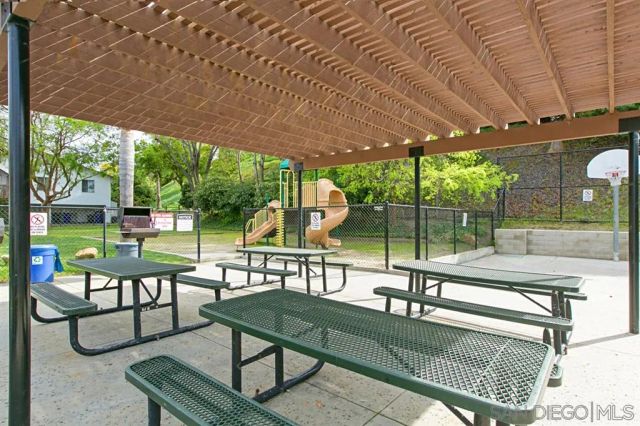 a view of a trees in a yard