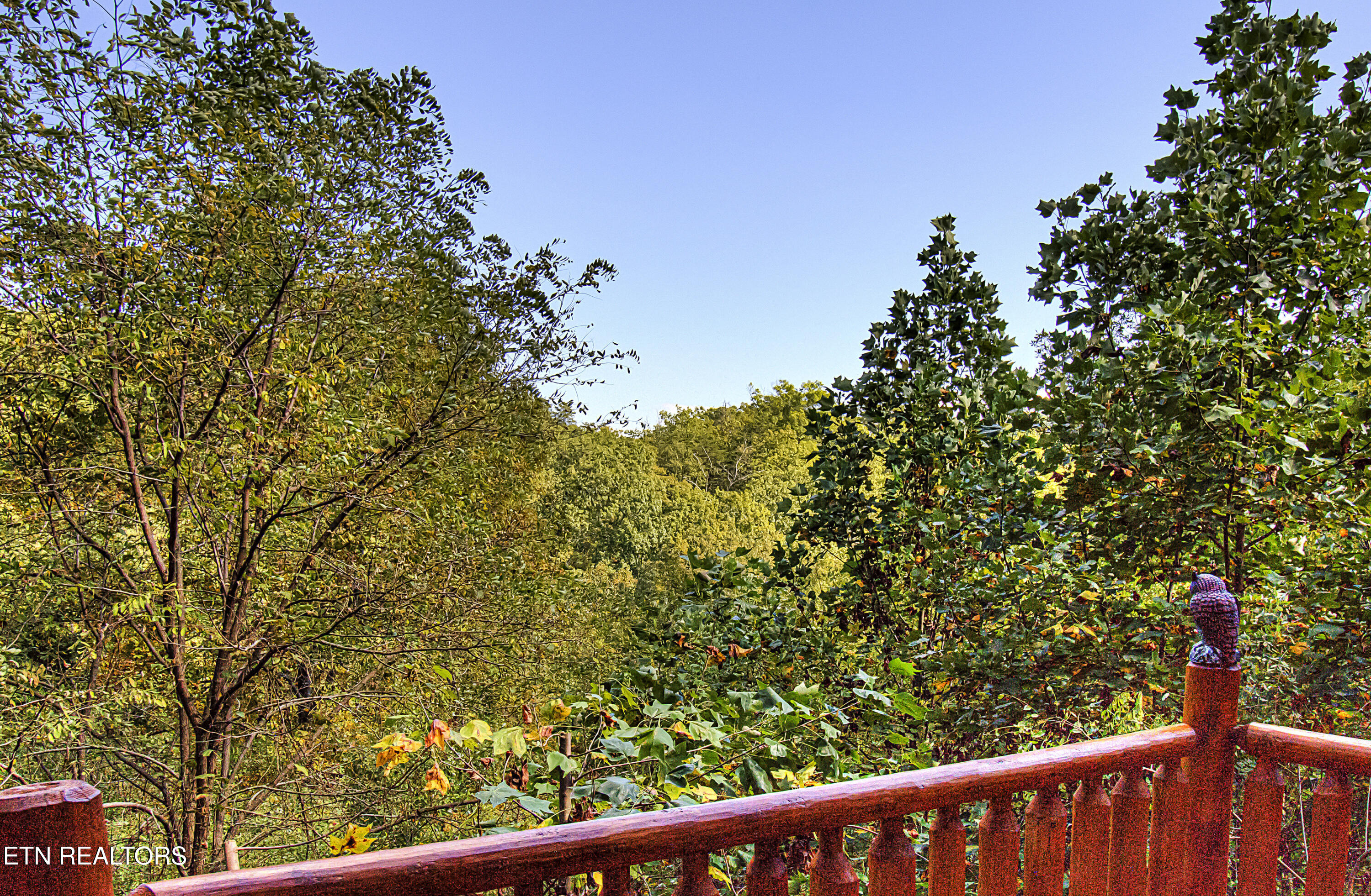 2184 Spence Mountain Loop Sevierville, TN 37876 - Photo 22 of 37 IMG_7376