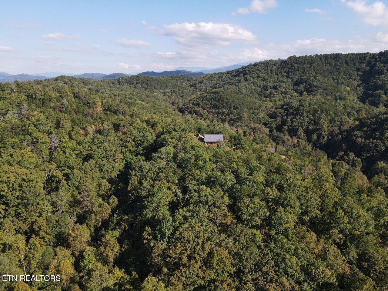2184 Spence Mountain Loop Sevierville, TN 37876 - Photo 37 of 37 IMG_3515