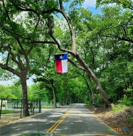 a view of a tree in a yard