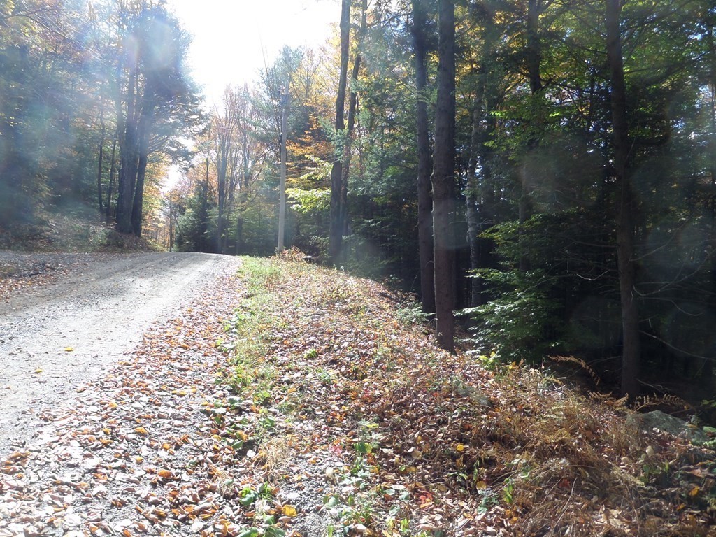 0 Thayer Hill Road Worthington, MA 01098 - Photo 4 of 4
