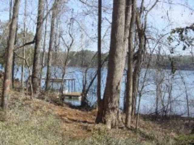 1 Deans Point Martin, GA 30557 - Photo 3 of 6 Gallery Image 3