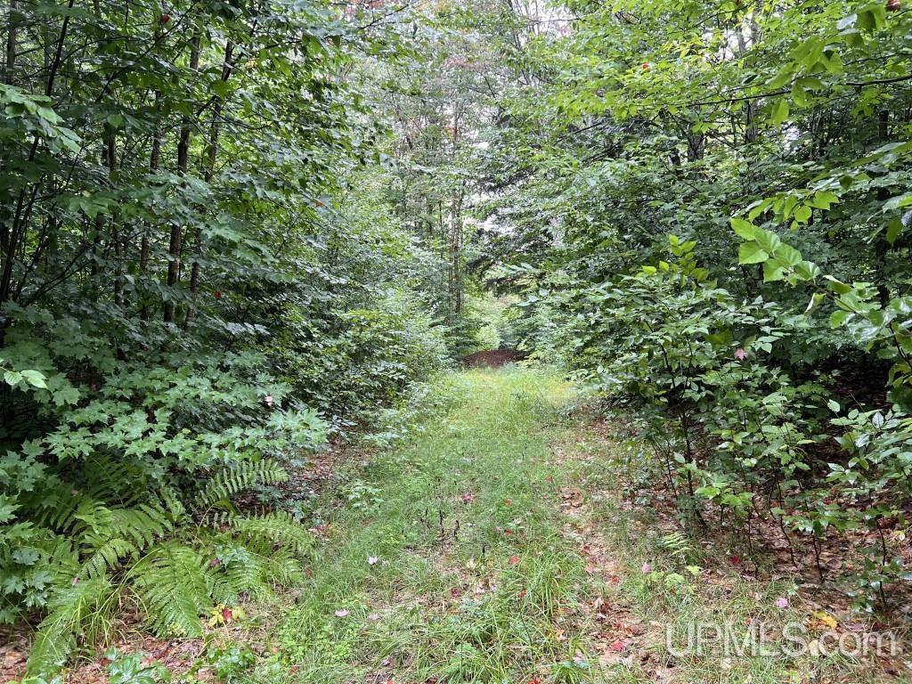 454 Creighton Trail Road Shingleton, MI 49884 - Photo 15 of 26