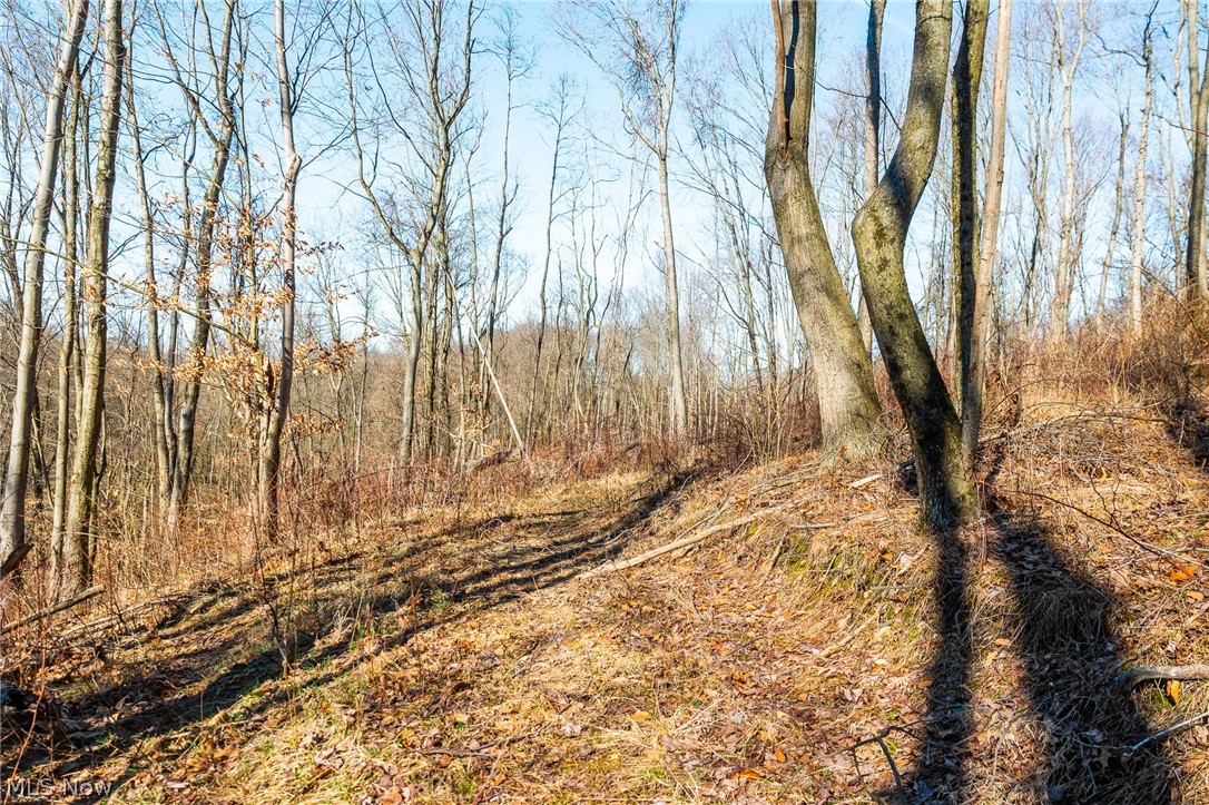2535 Millersburg Road Wooster, OH 44691 - Photo 21 of 46 View of undeveloped land