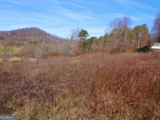 a view of a dry yard with mountains in the background
