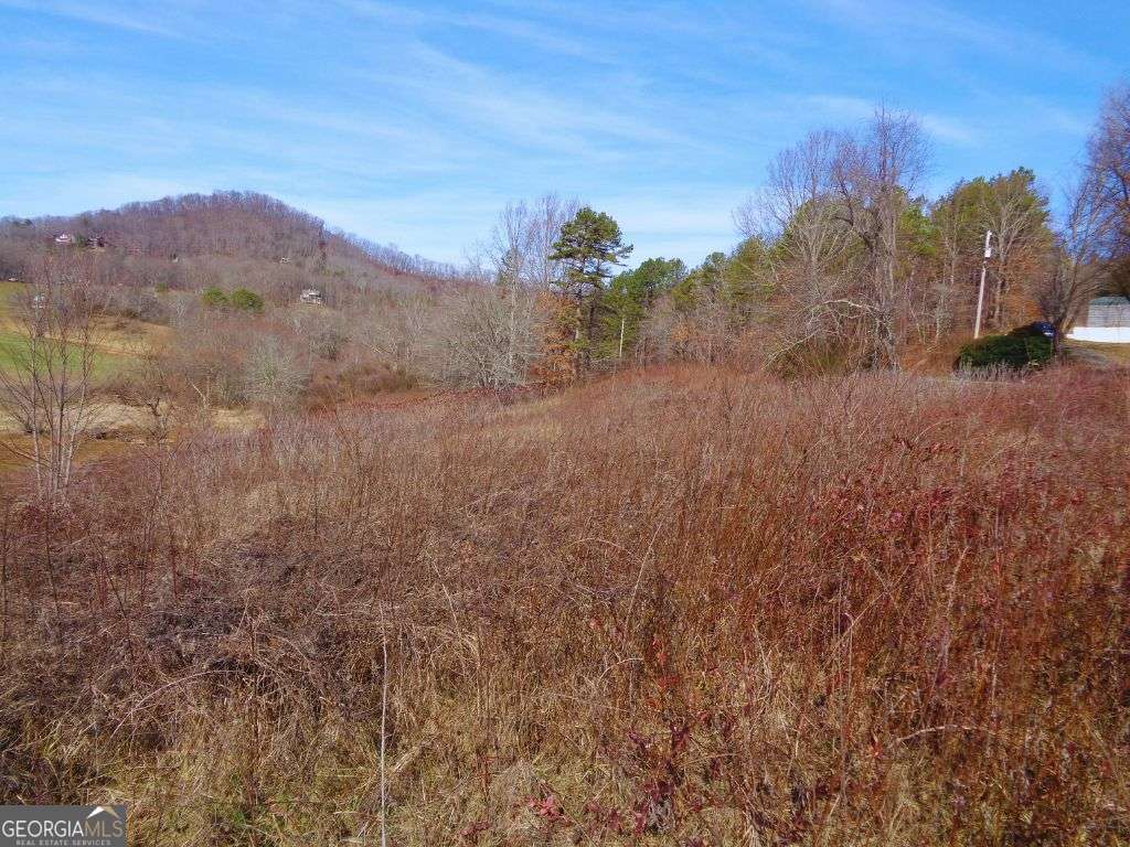 Bf1 Chatuge Lane Hayesville, NC 28904 - Photo 6 of 6 a view of a dry yard with mountains in the background