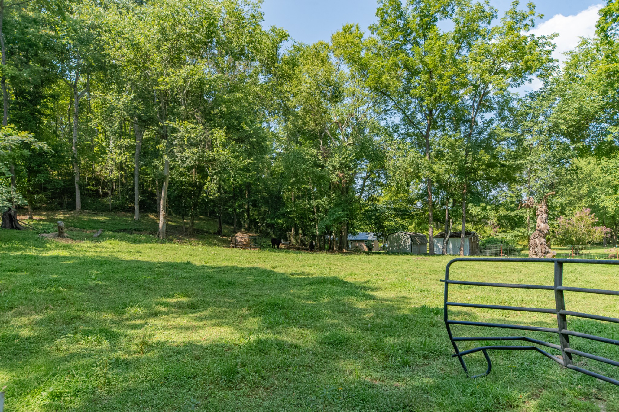 755 Briar Pond Road Centerville, TN 37033 - Photo 78 of 95 Gallery Image 78