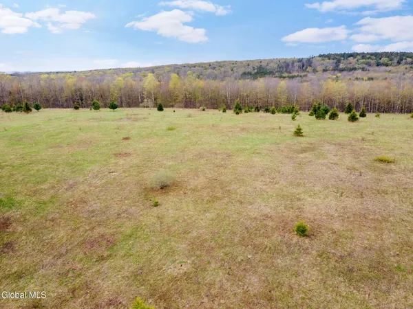 $50,000 | L15 Kostenko Sutton Road, Pitcher, NY 13136