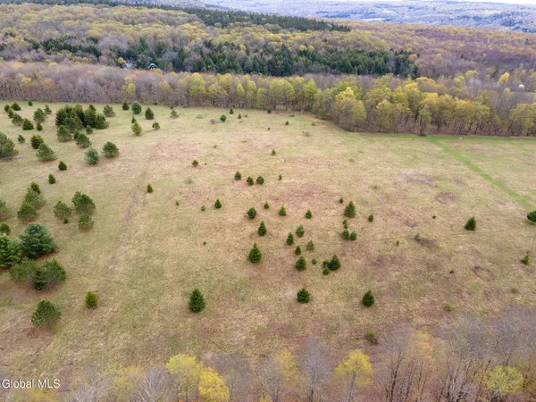 $50,000 | L15 Kostenko Sutton Road, Pitcher, NY 13136