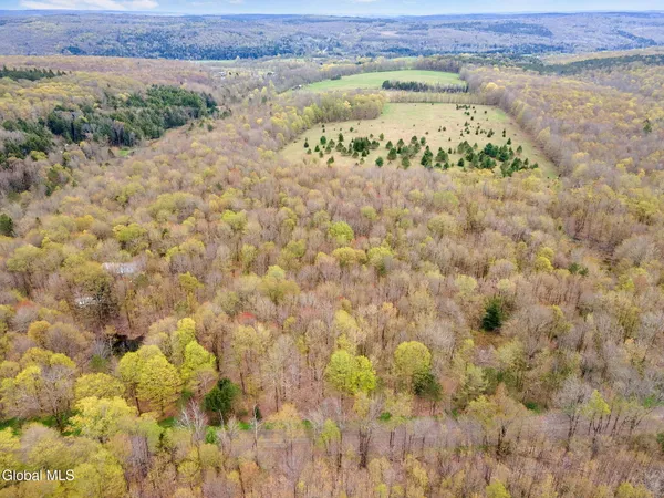 $50,000 | L15 Kostenko Sutton Road, Pitcher, NY 13136