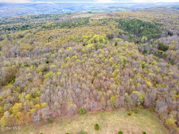 $50,000 | L15 Kostenko Sutton Road, Pitcher, NY 13136
