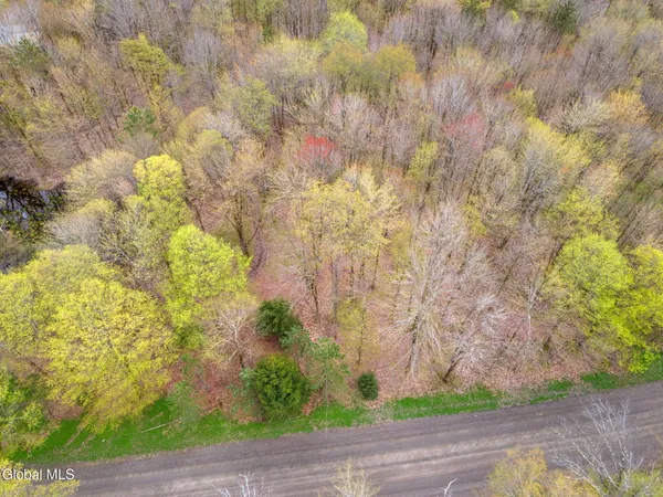 $50,000 | L15 Kostenko Sutton Road, Pitcher, NY 13136