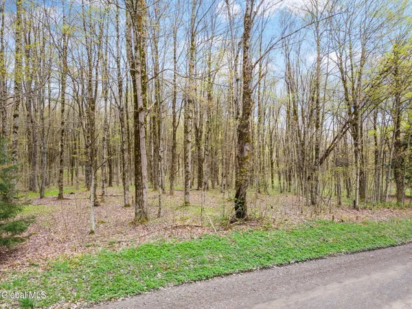 $50,000 | L15 Kostenko Sutton Road, Pitcher, NY 13136