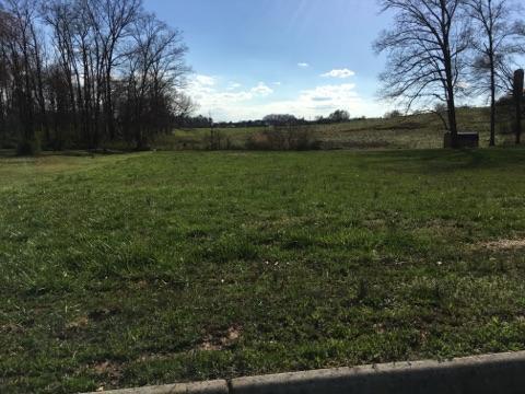 1081 Houston Springs Road Greenback, TN 37742 - Photo 1 of 5 IMG951999