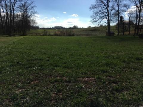 1081 Houston Springs Road Greenback, TN 37742 - Photo 2 of 5 IMG951995
