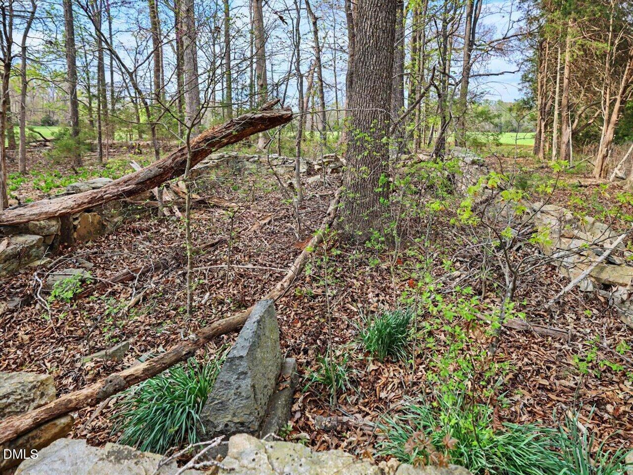 7793 Ridgeville Road Leasburg, NC 27291 - Photo 80 of 91