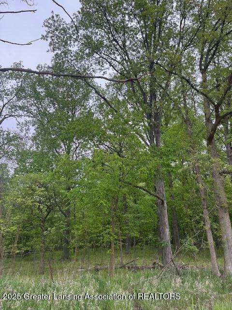 0 West Hyde Road St. Johns, MI 48879 - Photo 4 of 10 IMG_9171