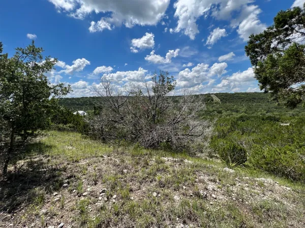 a view of a flower in a yard