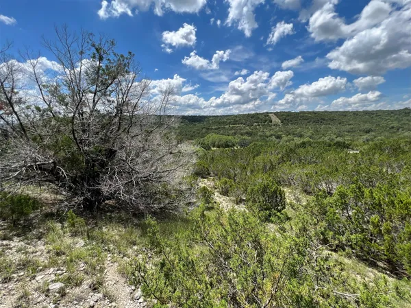 a view of a bunch of trees