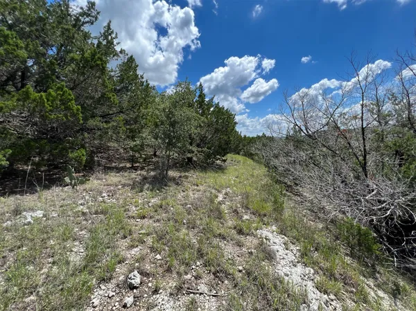 a view of a bunch of flowers in middle of the yard