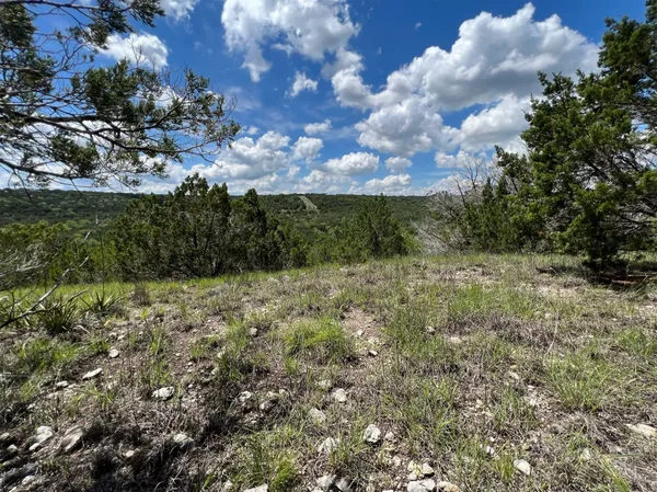 a view of a bunch of trees