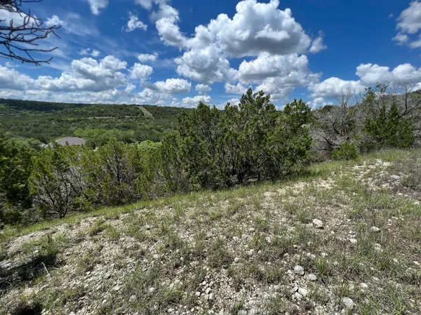 a view of a big yard with lots of green space