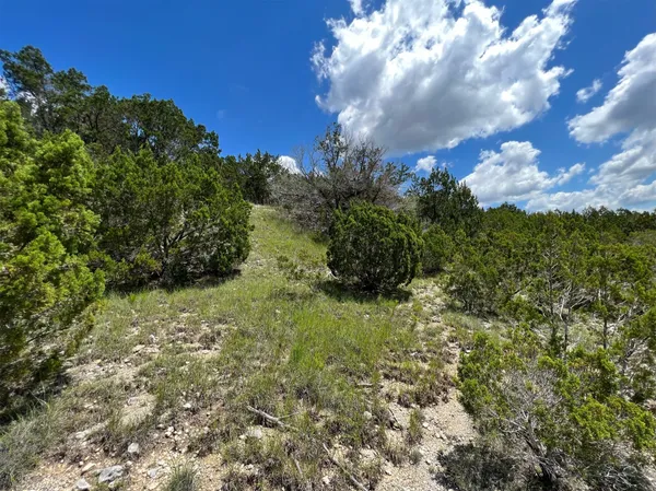 a view of a big yard with lots of green space