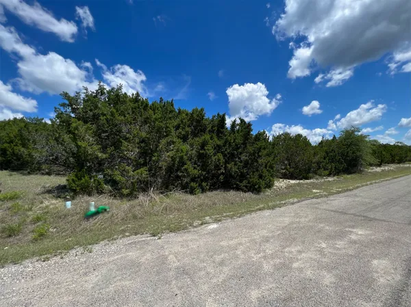 a view of a bunch of trees