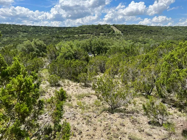 a view of a bunch of trees and bushes