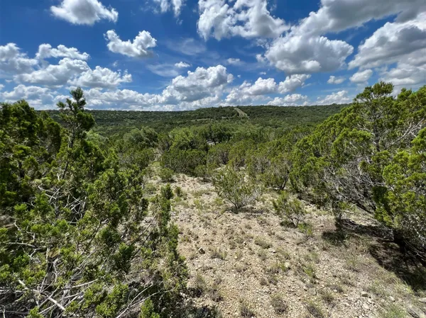 a view of a big yard with lots of bushes