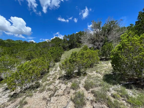 a view of a city with lush green forest