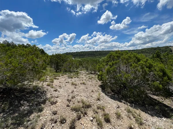 a view of a flower in a yard