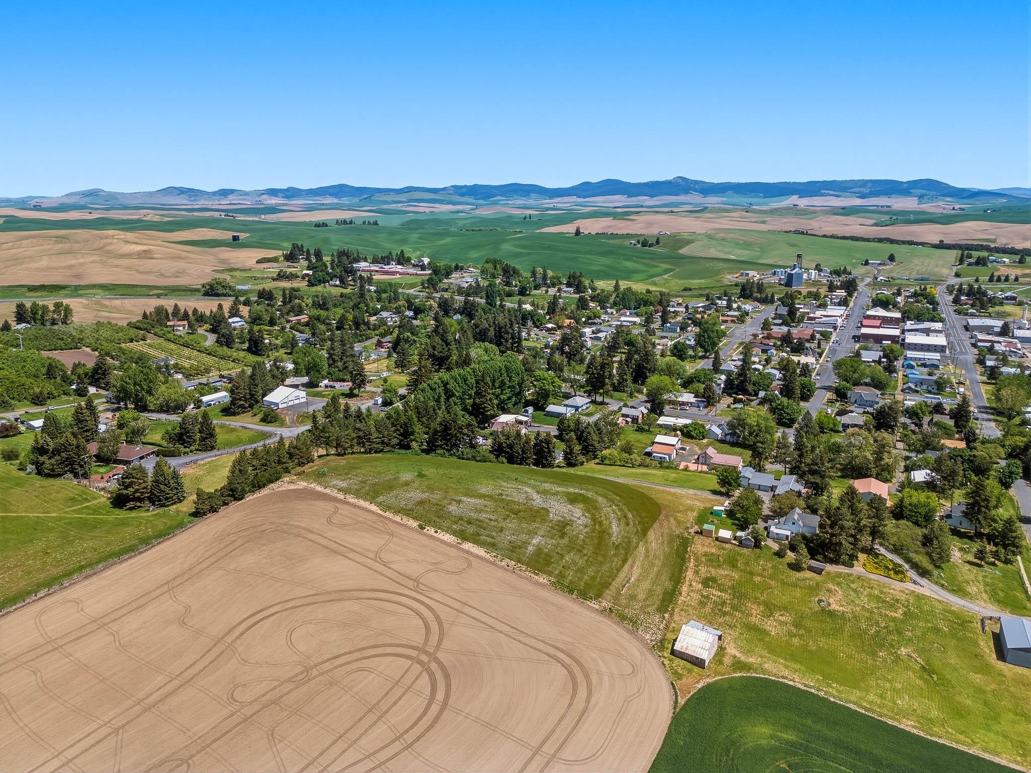 Tbd 10th Street Garfield, WA 99130 - Photo 9 of 12