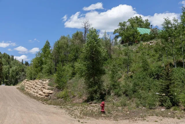 a view of a dry yard