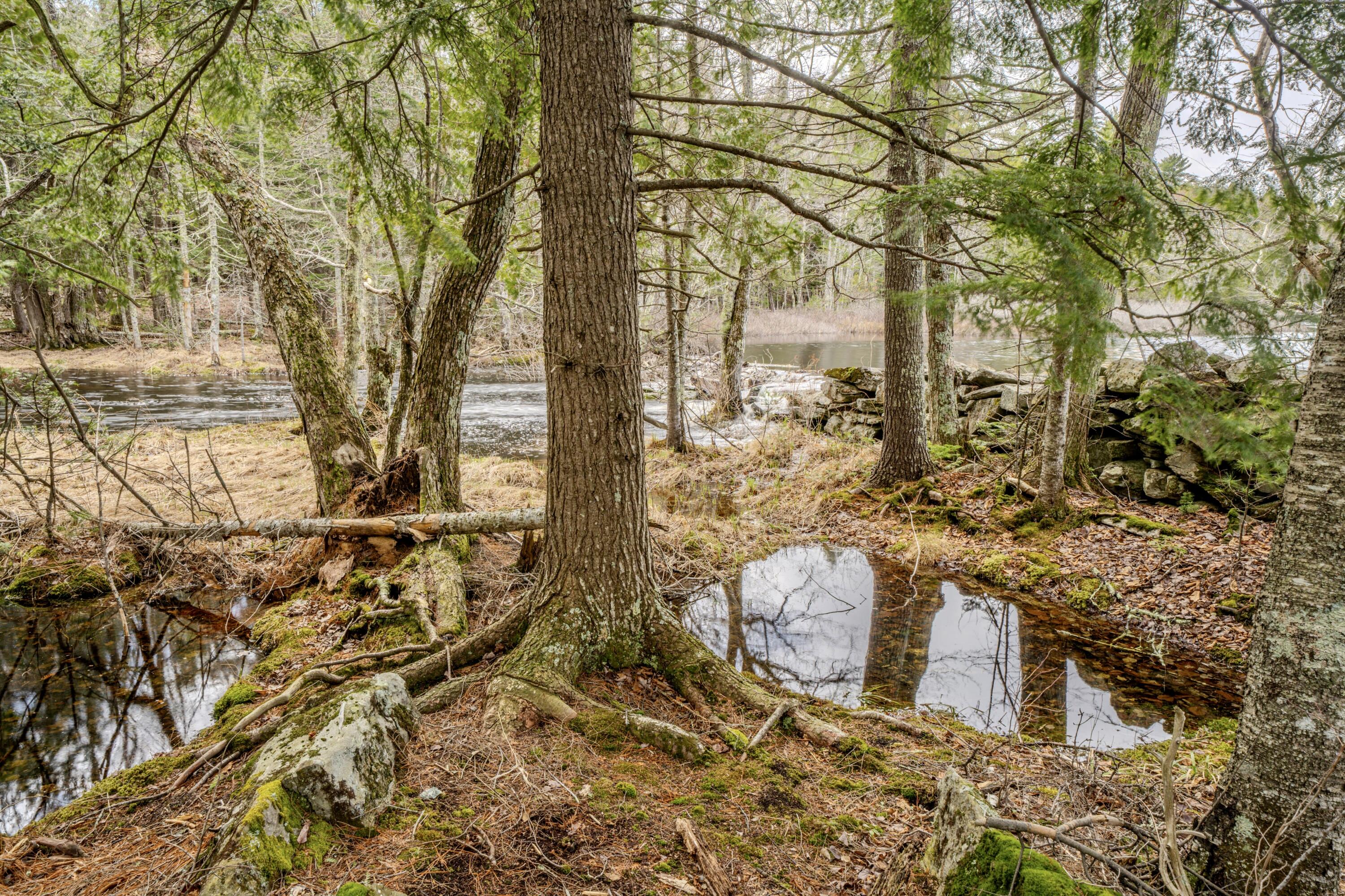 80 Poland Woods Road Morrill, ME 04952 - Photo 31 of 41 1117