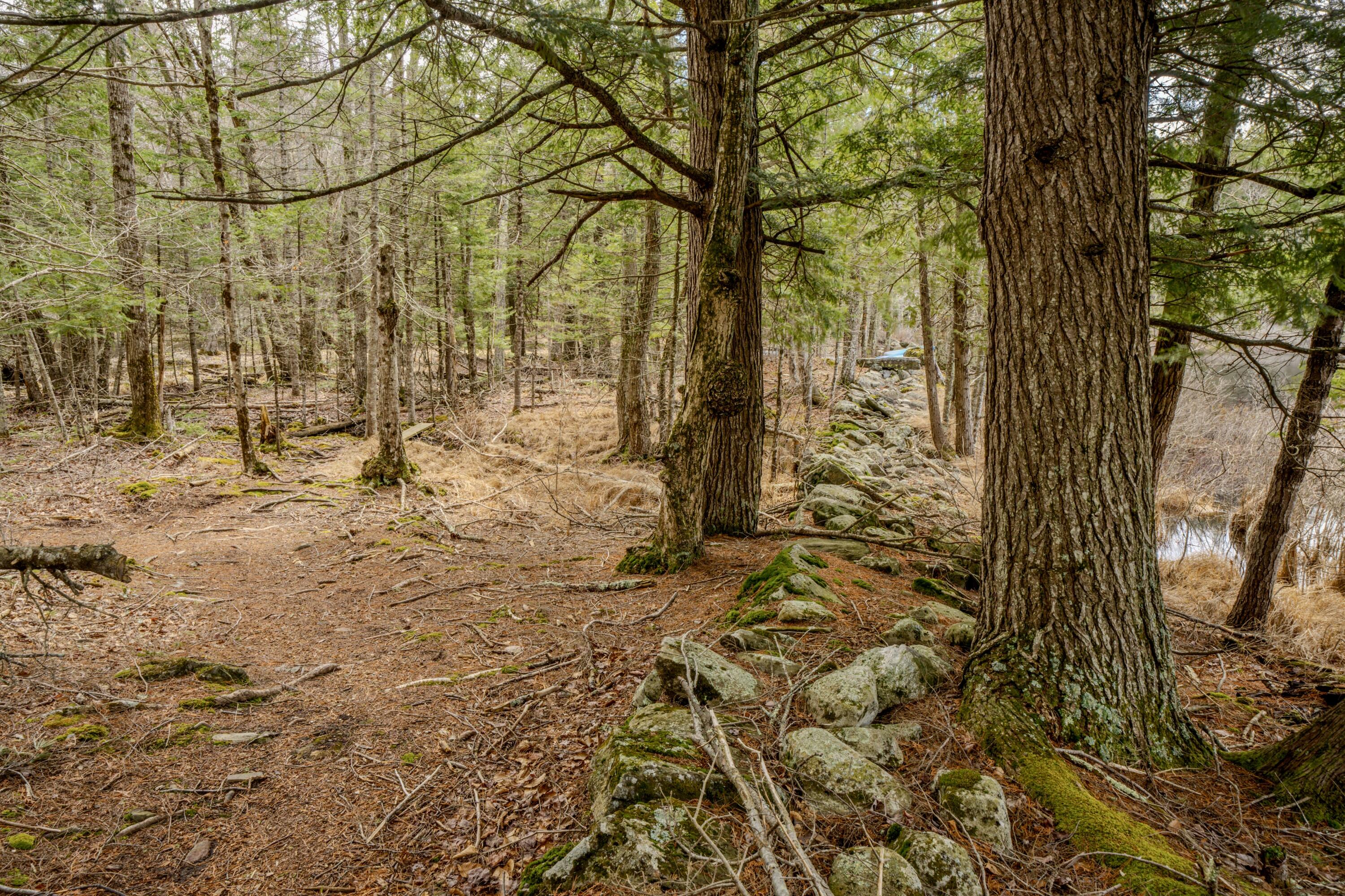 80 Poland Woods Road Morrill, ME 04952 - Photo 32 of 41 1114
