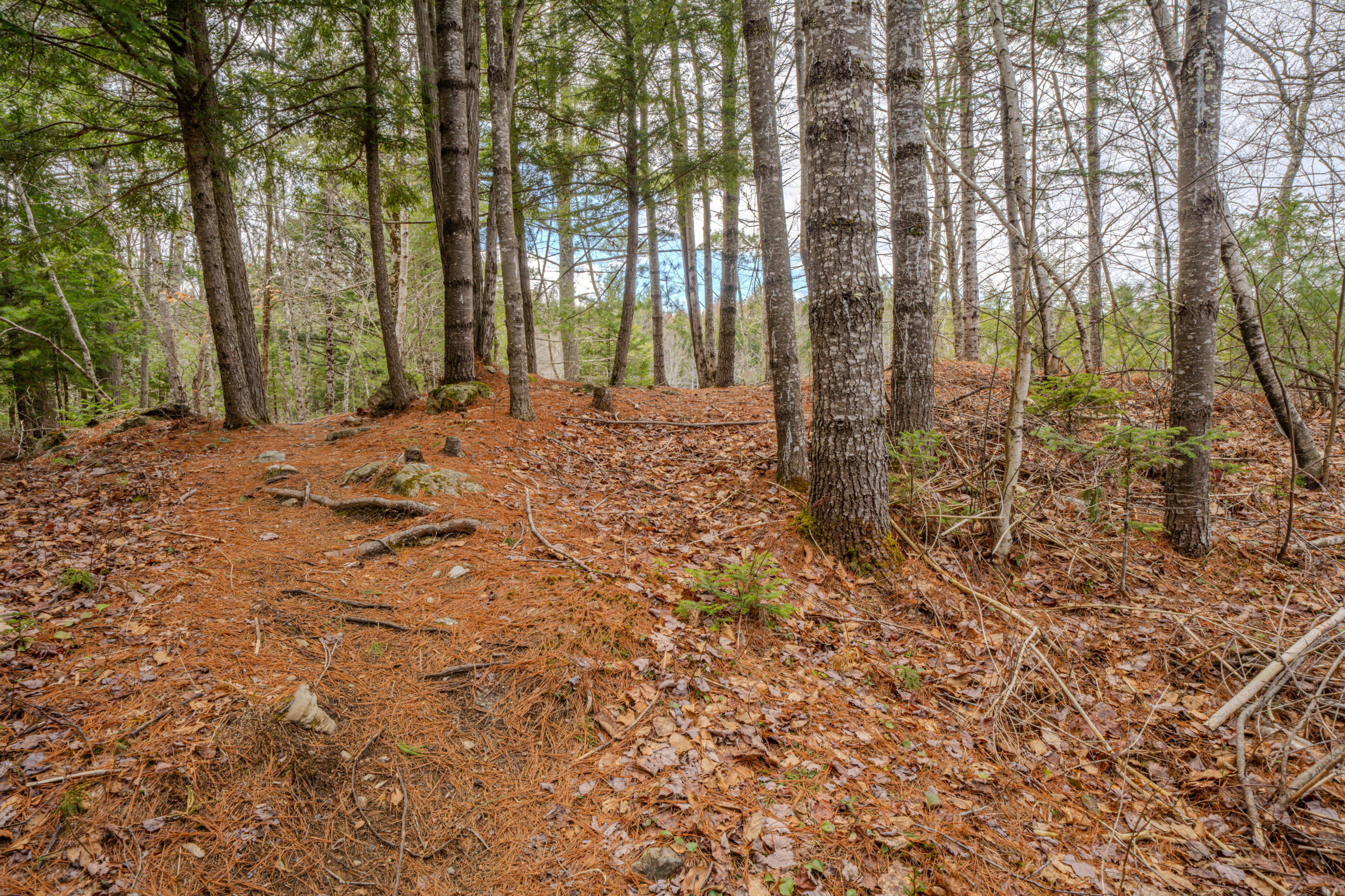 80 Poland Woods Road Morrill, ME 04952 - Photo 33 of 41 1112
