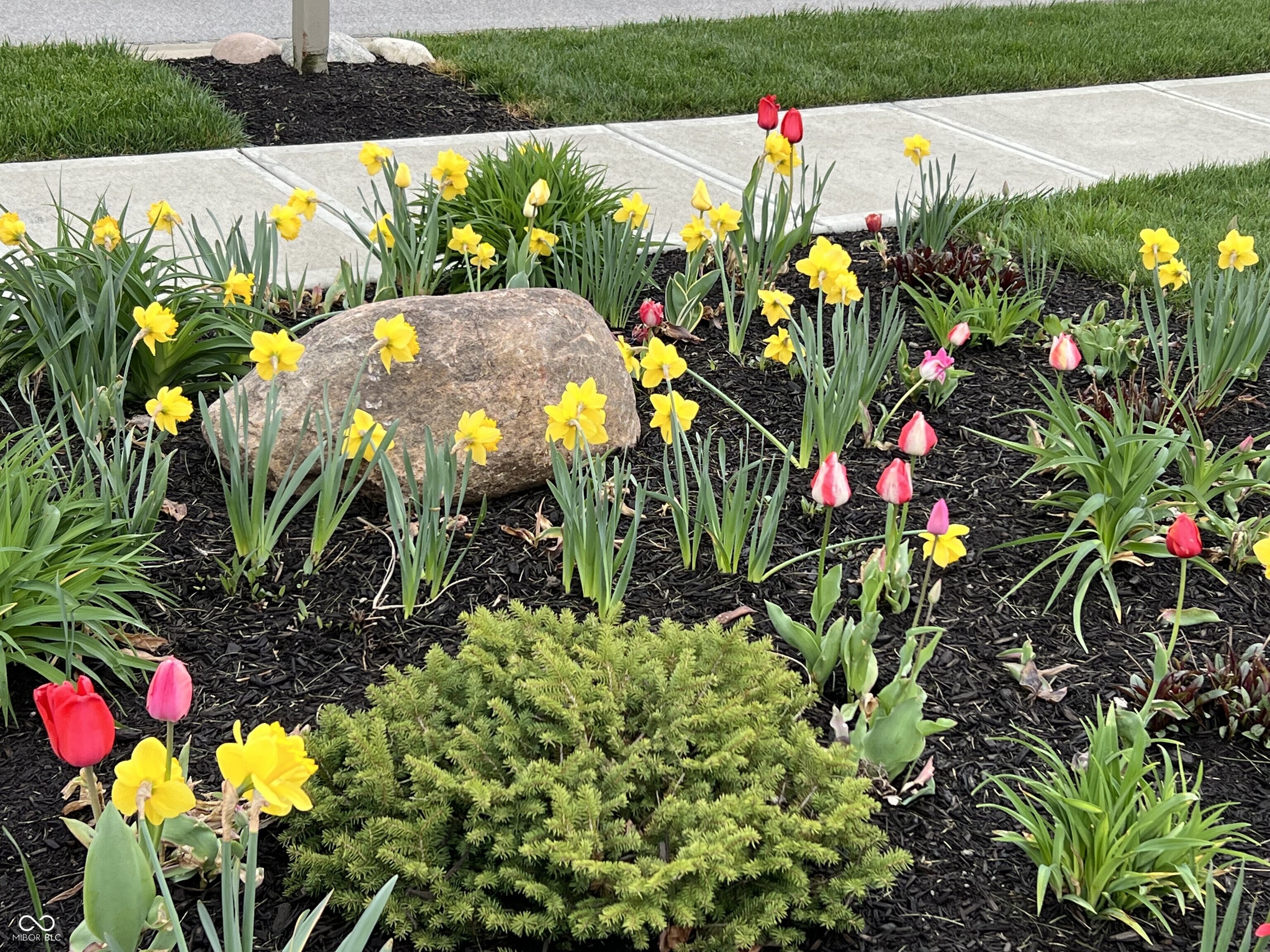 2382 Lingerman Way Avon, IN 46123 - Photo 73 of 73