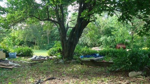 1S776 Deerpath Road Batavia, IL 60510 - Photo 10 of 11