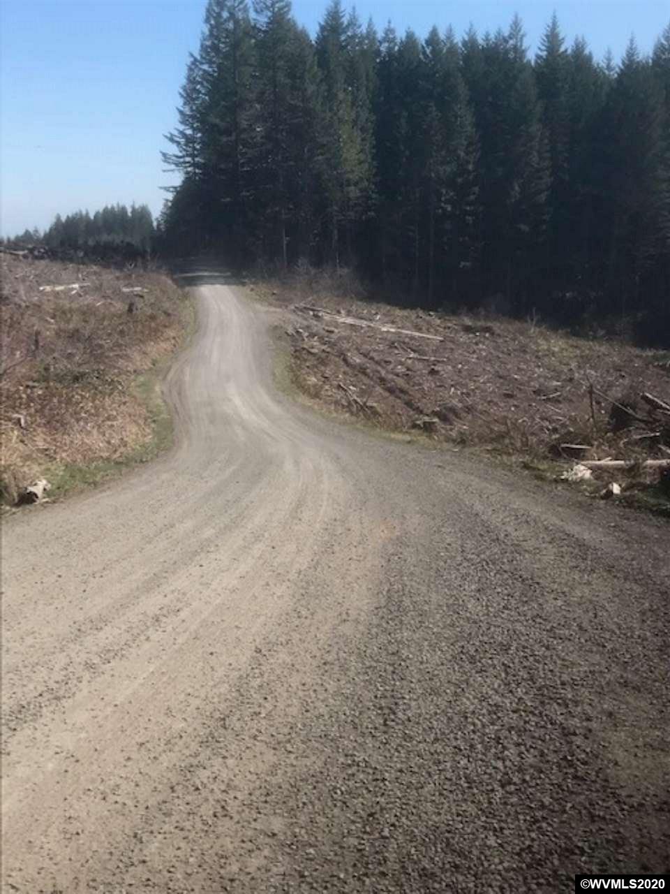 Northwest Smoke Ranch Road Scappoose, OR 97056 - Photo 9 of 10
