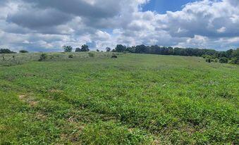 2069 Saltwell Road Owingsville, KY 40360 - Photo 2 of 6 363512113_208790025187440_62904300390178