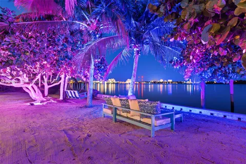 a view of a backyard with a tree