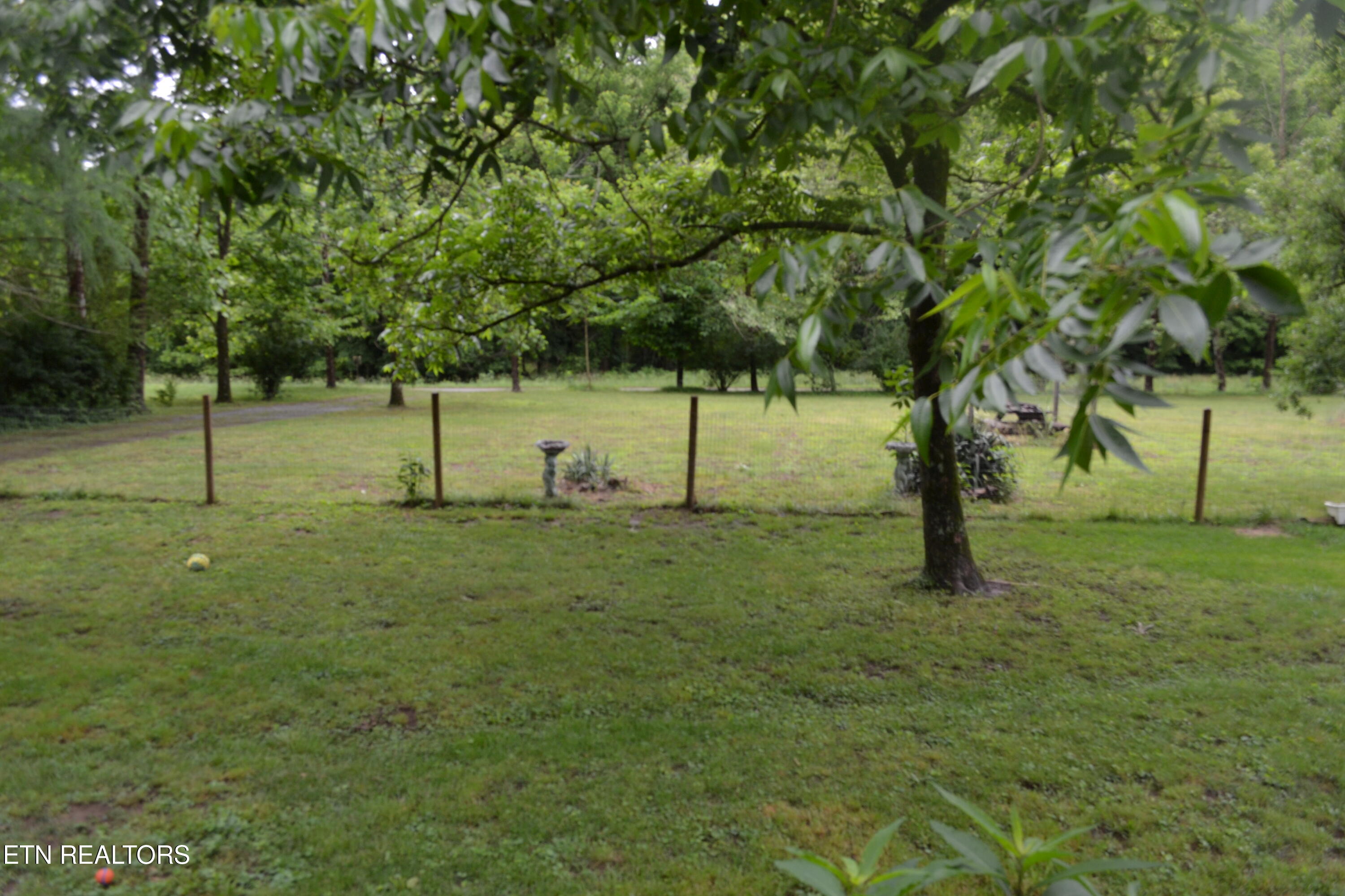 1557 Add Stafford Road Hilham, TN 38568 - Photo 23 of 40 DSC_0106