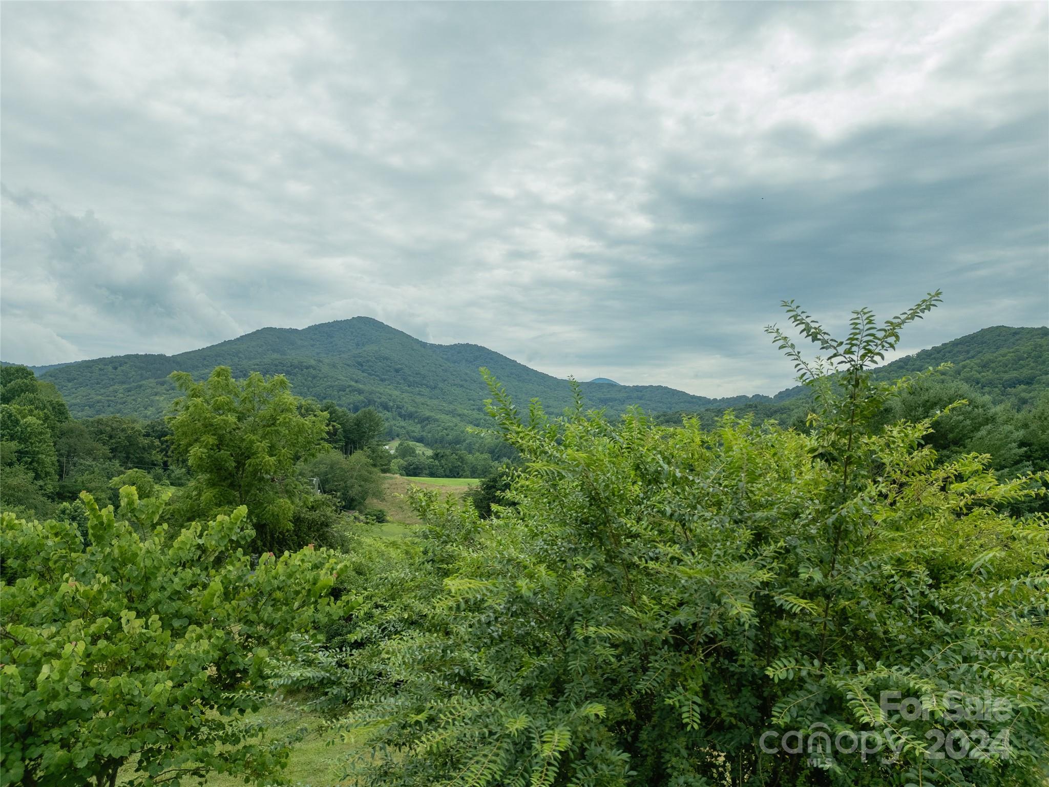 327 Beaverdam Loop Road Candler, NC 28715 - Photo 6 of 26 Gallery Image 6