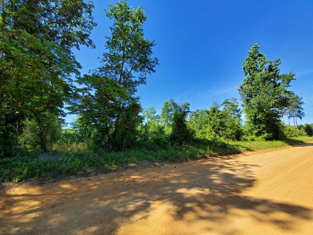 0 Bark Road Midville, GA 30441 - Photo 3 of 25 Gallery Image 3