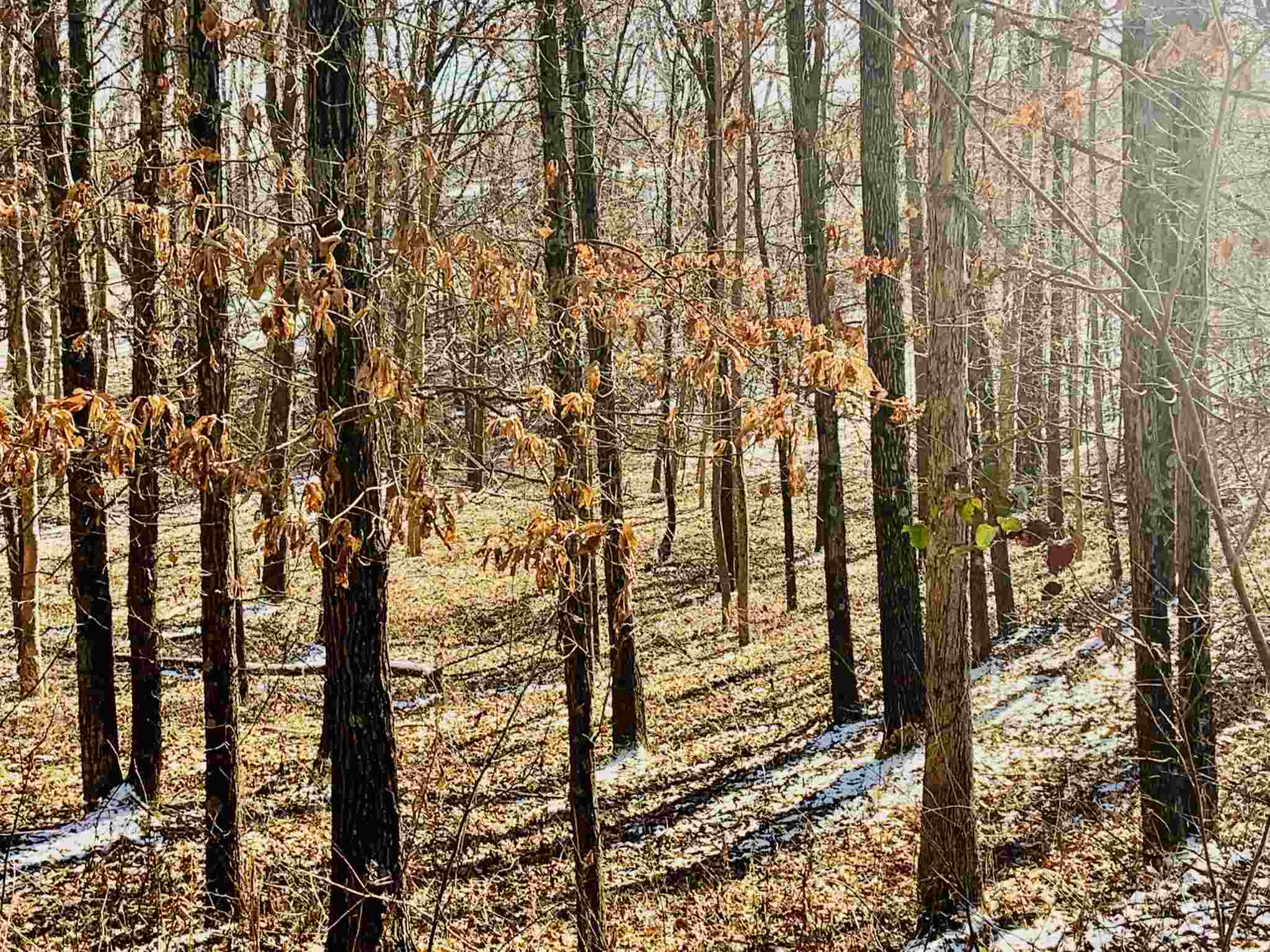 74 Greer Lane Springville, IN 47462 - Photo 30 of 33 Gallery Image 30