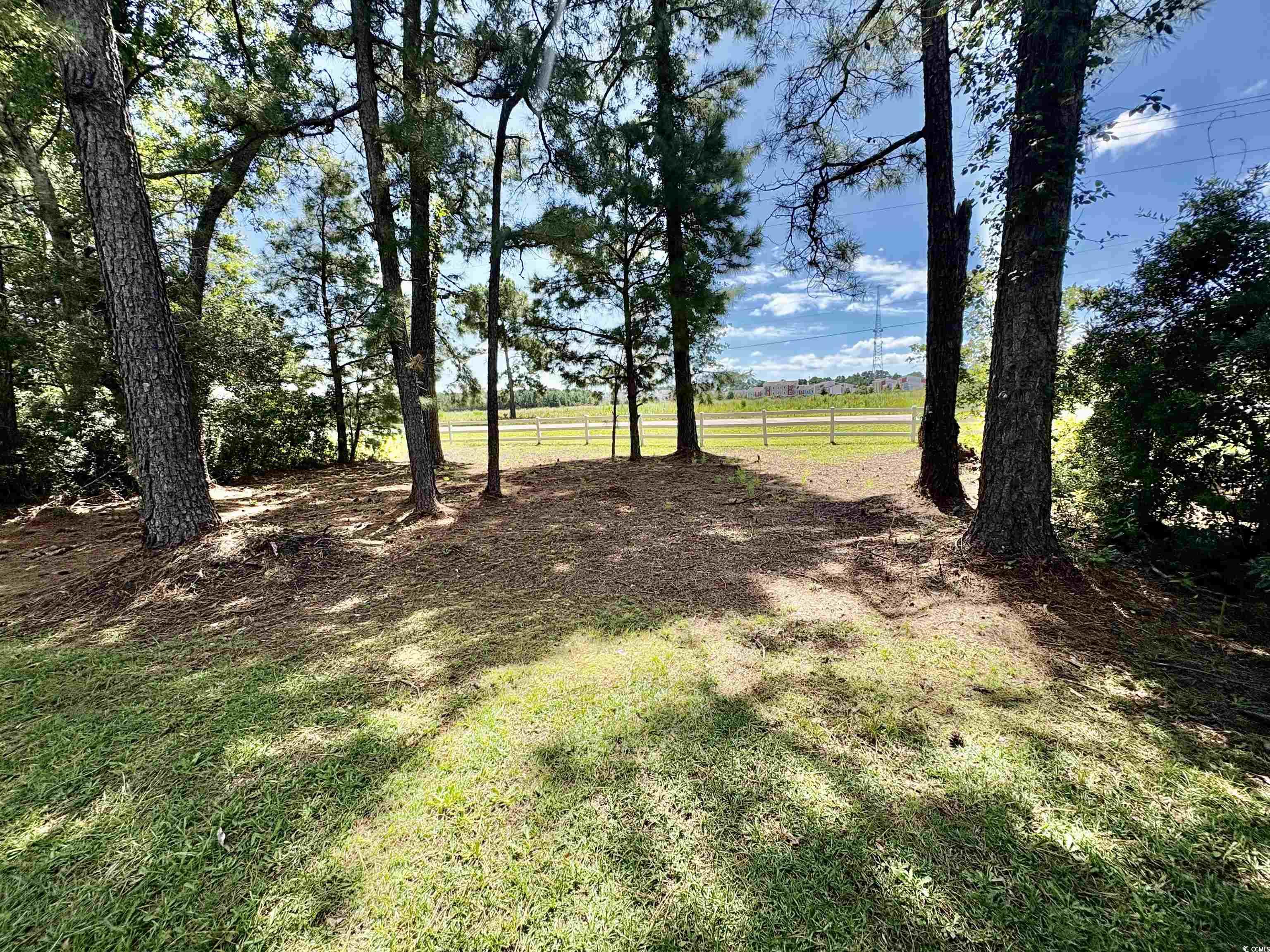 876 Old Magnolia Drive Conway, SC 29526 - Photo 6 of 25