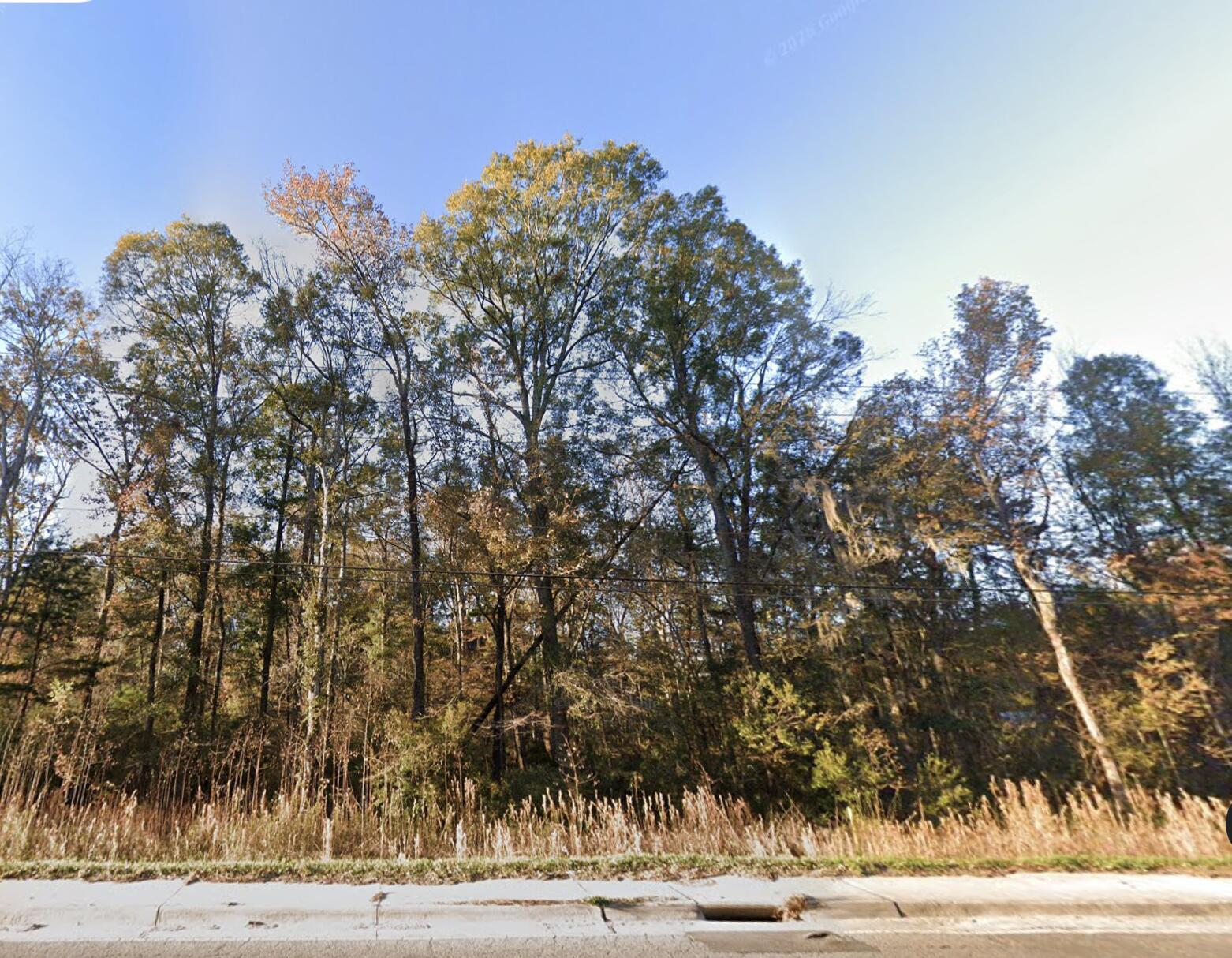 4801 Old Fort Drive Ladson, SC 29456 - Photo 2 of 2 Screen Shot 2026-02-11 at 10.52.35 AM