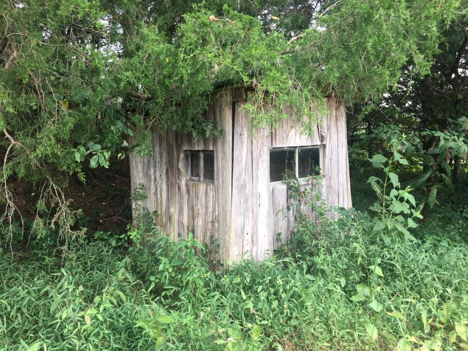 0 Albert Morgan Road Summer Shade, KY 42166 - Photo 16 of 23 Gallery Image 16
