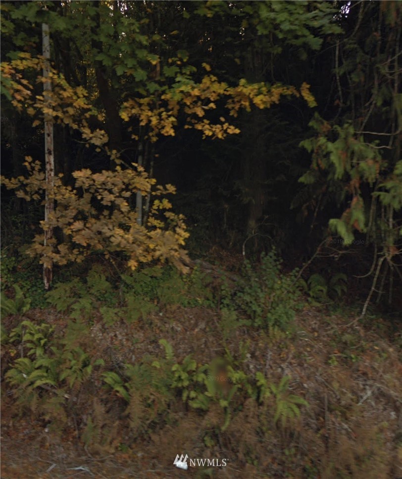 361 East Canyon View Road Belfair, WA 98528 - Photo 1 of 1 a view of a yard
